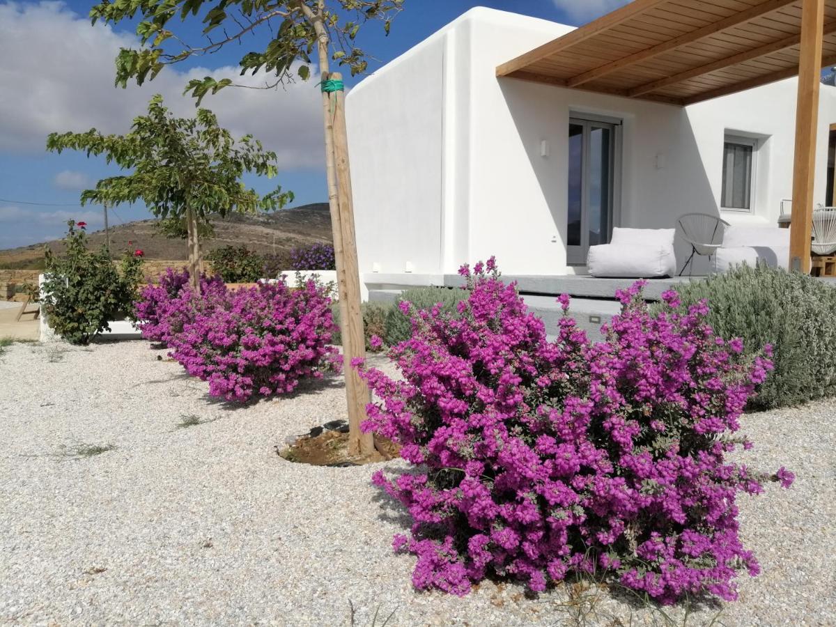 Xerolithos Natural Living Kato Sangrion Exterior foto